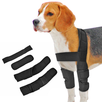 Dog Knee Brace Injuries Leg Brace Surgical Joint