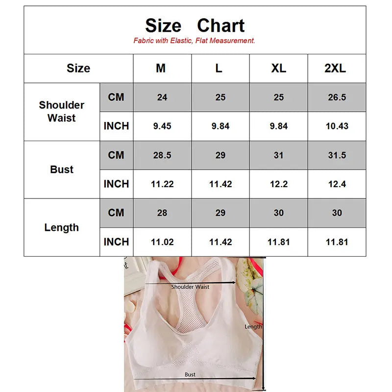 Women Breathable Sports Bra Absorb Sweat Shockproof Padded Gym Running