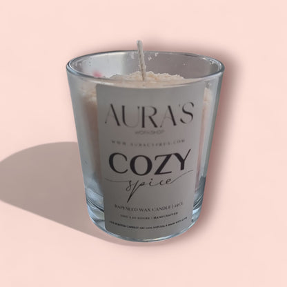 Cozy Spice Scent - Eco Snow Candle