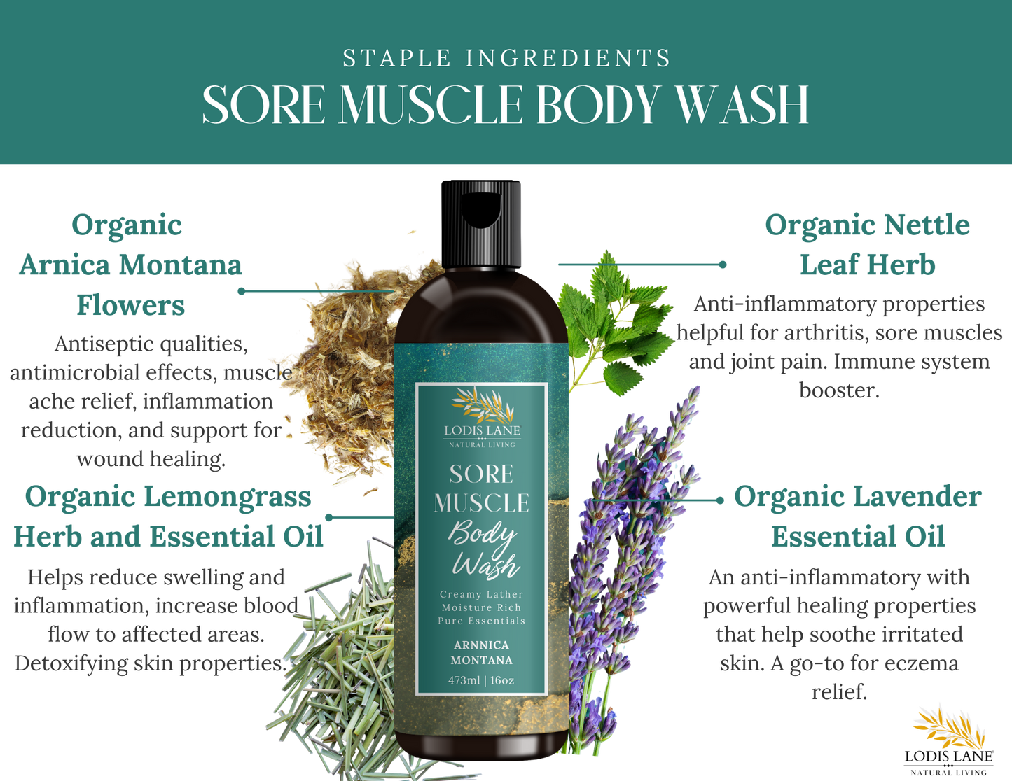 Arnica Montana Sore Muscle Body Wash